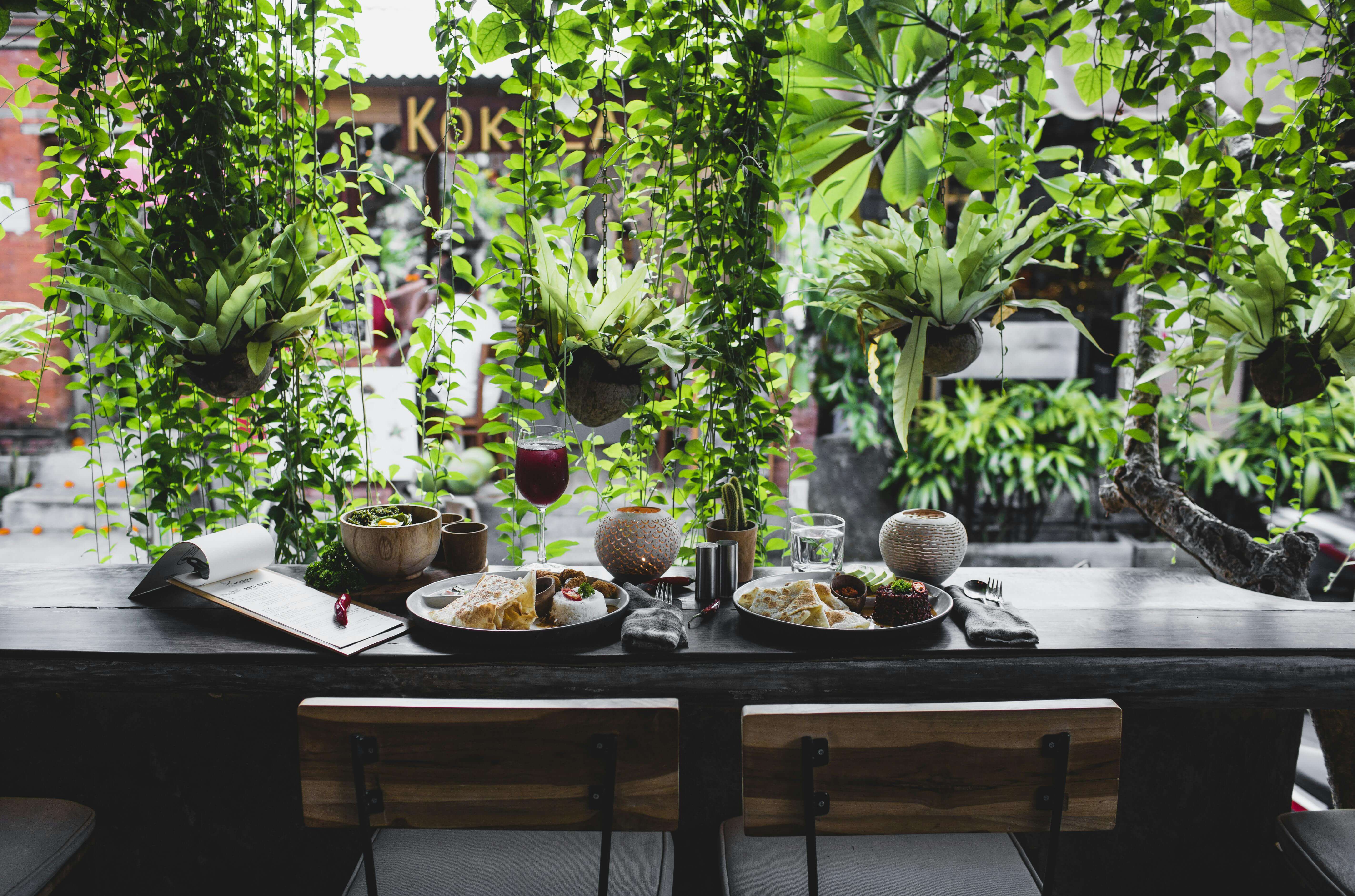 two plates of food on a bench with a leafy background in a restaurant